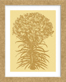 Lilies 19 (Framed) -  Botanical Series - McGaw Graphics
