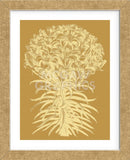 Lilies 20 (Framed) -  Botanical Series - McGaw Graphics