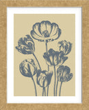 Tulip 1 (Framed) -  Botanical Series - McGaw Graphics