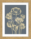 Tulip 2 (Framed) -  Botanical Series - McGaw Graphics