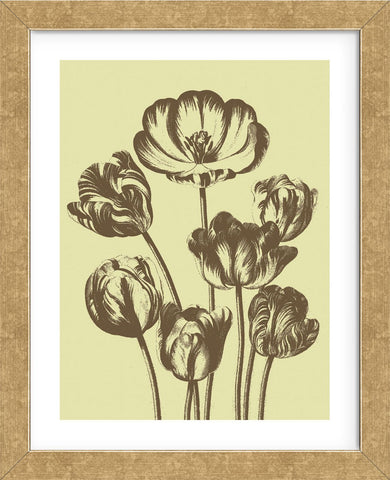 Tulip 3 (Framed) -  Botanical Series - McGaw Graphics