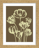 Tulip 4 (Framed) -  Botanical Series - McGaw Graphics