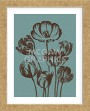 Tulip 5 (Framed) -  Botanical Series - McGaw Graphics