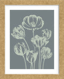 Tulip 7 (Framed) -  Botanical Series - McGaw Graphics