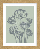 Tulip 8 (Framed) -  Botanical Series - McGaw Graphics