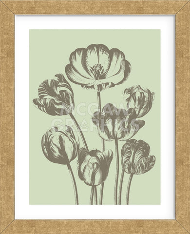 Tulip 11 (Framed) -  Botanical Series - McGaw Graphics