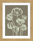 Tulip 12 (Framed) -  Botanical Series - McGaw Graphics