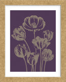 Tulip 13 (Framed) -  Botanical Series - McGaw Graphics