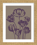 Tulip 14 (Framed) -  Botanical Series - McGaw Graphics
