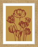Tulip 15 (Framed) -  Botanical Series - McGaw Graphics