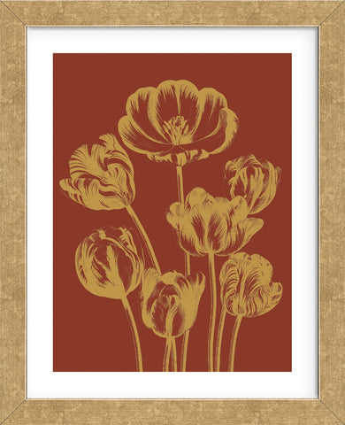 Tulip 16 (Framed) -  Botanical Series - McGaw Graphics
