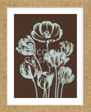 Tulip 17 (Framed) -  Botanical Series - McGaw Graphics