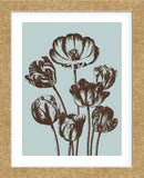 Tulip 18 (Framed) -  Botanical Series - McGaw Graphics
