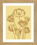 Tulip 19 (Framed) -  Botanical Series - McGaw Graphics