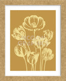 Tulip 20 (Framed) -  Botanical Series - McGaw Graphics