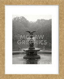 Bethesda Fountain (Framed) -  Chris Bliss - McGaw Graphics
