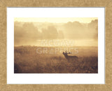 Call (Framed) -  Mark Bridger - McGaw Graphics