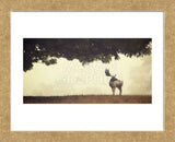 Look Back (Framed) -  Mark Bridger - McGaw Graphics