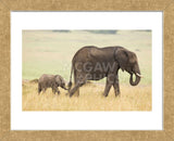 Wait for Me! (Framed) -  Mark Bridger - McGaw Graphics