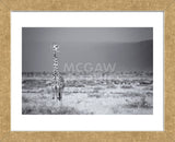 Big Boy (Framed) -  Mark Bridger - McGaw Graphics