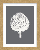 Artichoke (Gray & Ivory) (Framed) -  Botanical Series - McGaw Graphics