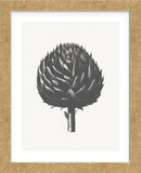 Artichoke (Ivory & Ink ) (Framed) -  Botanical Series - McGaw Graphics