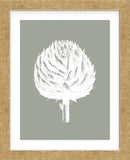 Artichoke (Sage & Ivory) (Framed) -  Botanical Series - McGaw Graphics