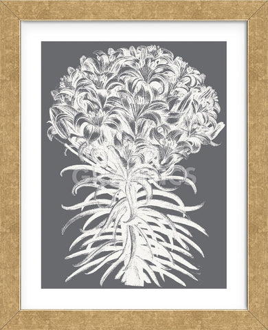 Lilies (Gray & Ivory) (Framed) -  Botanical Series - McGaw Graphics