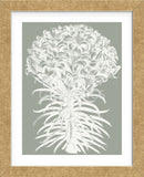 Lilies (Sage & Ivory) (Framed) -  Botanical Series - McGaw Graphics