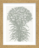 Lilies (Ivory & Sage) (Framed) -  Botanical Series - McGaw Graphics