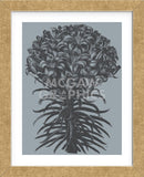 Lilies (Slate & Ink) (Framed) -  Botanical Series - McGaw Graphics