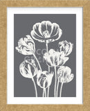 Tulips (Gray & Ivory) (Framed) -  Botanical Series - McGaw Graphics