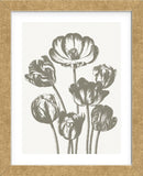 Tulips (Ivory & Burlap) (Framed) -  Botanical Series - McGaw Graphics