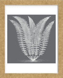 Fern (Gray & Ivory) (Framed) -  Botanical Series - McGaw Graphics