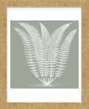 Fern (Sage & Ivory) (Framed) -  Botanical Series - McGaw Graphics