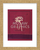 Delhi Daisy  (Framed) -  Gaelle Cicarda - McGaw Graphics