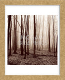 Winter Woods  (Framed) -  Erin Clark - McGaw Graphics