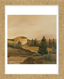 Sunny Tuscan Fields  (Framed) -  Jean Clark - McGaw Graphics