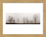 Misty Meadow  (Framed) -  Erin Clark - McGaw Graphics