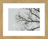 Whimsy Tree  (Framed) -  Erin Clark - McGaw Graphics