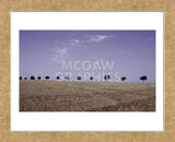 Season's Yield  (Framed) -  Gill Copeland - McGaw Graphics