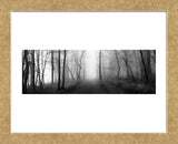 Woodland Walk  (Framed) -  Erin Clark - McGaw Graphics