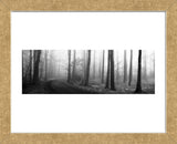 Forest Path  (Framed) -  Erin Clark - McGaw Graphics