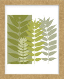 Garden Greens   (Framed) -  Erin Clark - McGaw Graphics