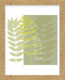 Field Greens   (Framed) -  Erin Clark - McGaw Graphics