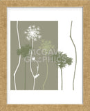 Queen Anne's Lace  (Framed) -  Erin Clark - McGaw Graphics