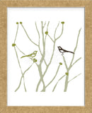 Little Bird  (Framed) -  Erin Clark - McGaw Graphics