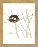Feathers and Twigs  (Framed) -  Erin Clark - McGaw Graphics