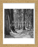 Mountain Hike  (Framed) -  Erin Clark - McGaw Graphics