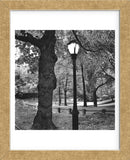 A Light in Central Park  (Framed) -  Erin Clark - McGaw Graphics